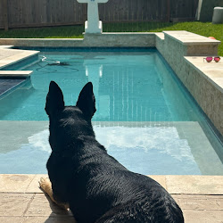 Pool photo posted by a verified Google reviewer