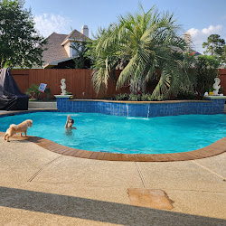 Pool photo posted by a verified Google reviewer